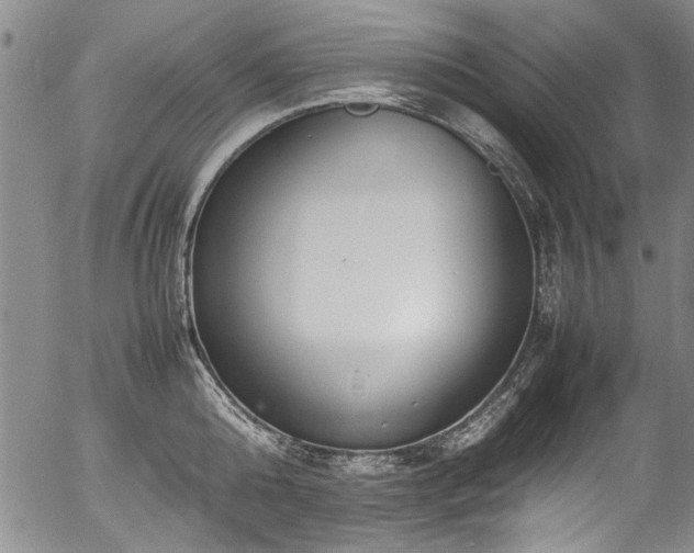 X0000054430808200507291247