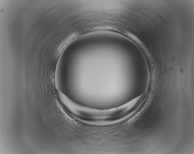 X0000054430809200507291247