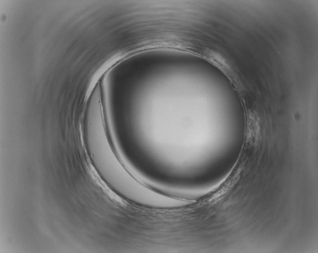 X0000054430812200507291247
