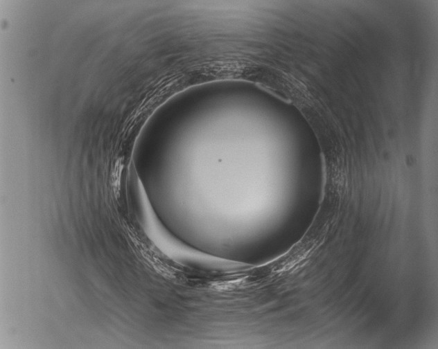 X0000054430818200507291246