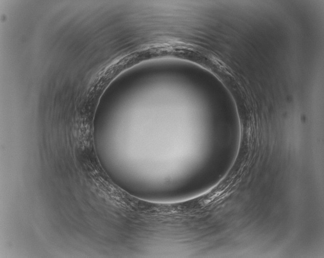 X0000054430822200507291246