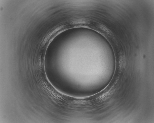 X0000054430825200507291246