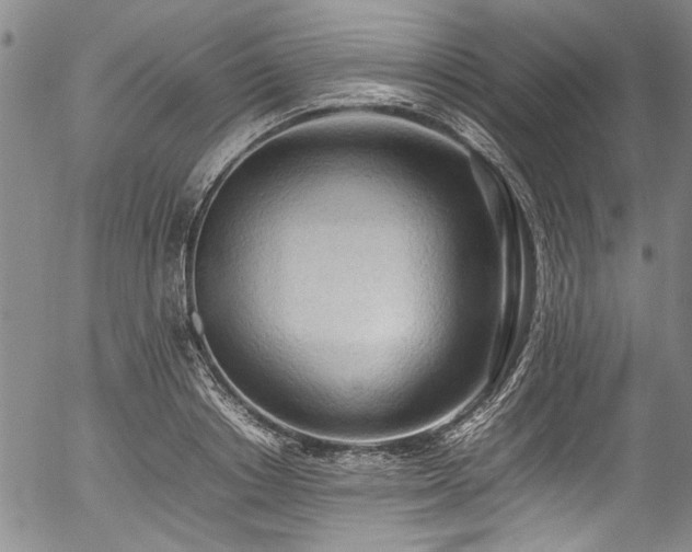 X0000054430842200507291246