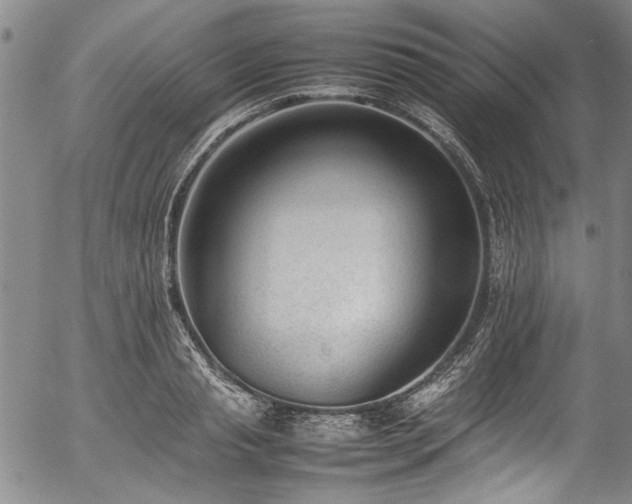 X0000054430845200507291246