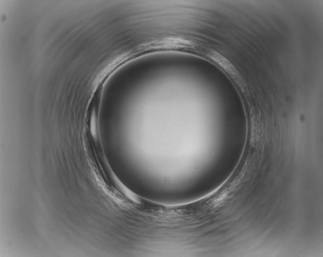 X0000054430850200507291247