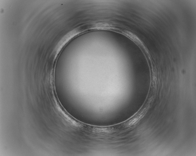 X0000054430855200507291247
