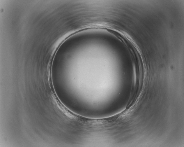 X0000054430862200507291247