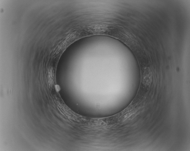 X0000054430866200507291246