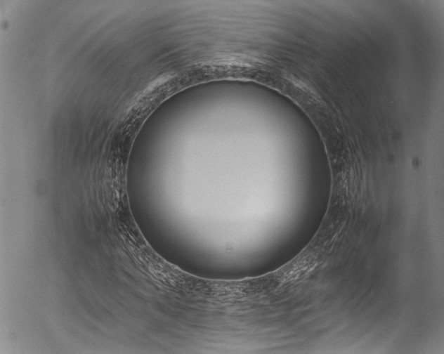 X0000054430870200507291246