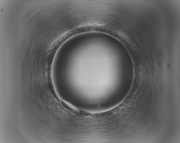 X0000054430872200507291246
