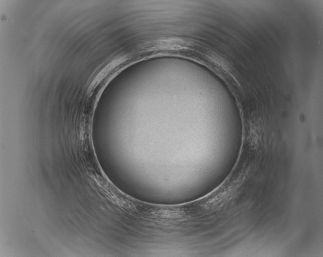 X0000054430874200507291246