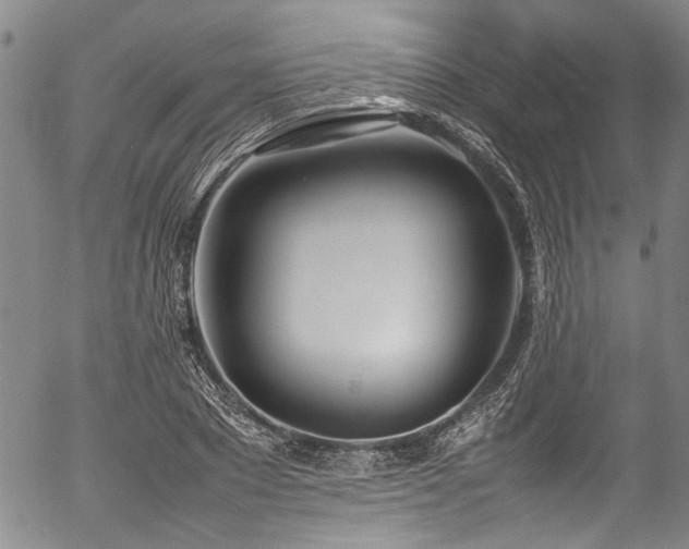 X0000054430881200507291246