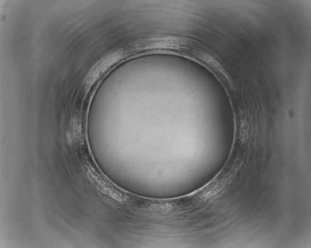 X0000054430882200507291246