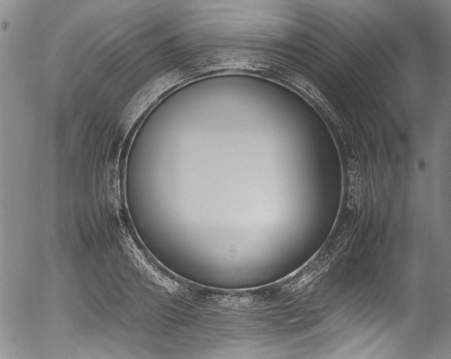 X0000054430890200507291246