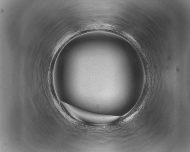 X0000054430893200507291246
