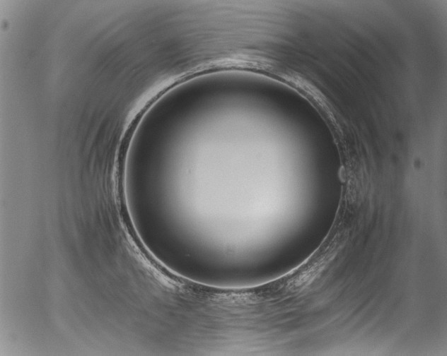 X0000054430902200507291245