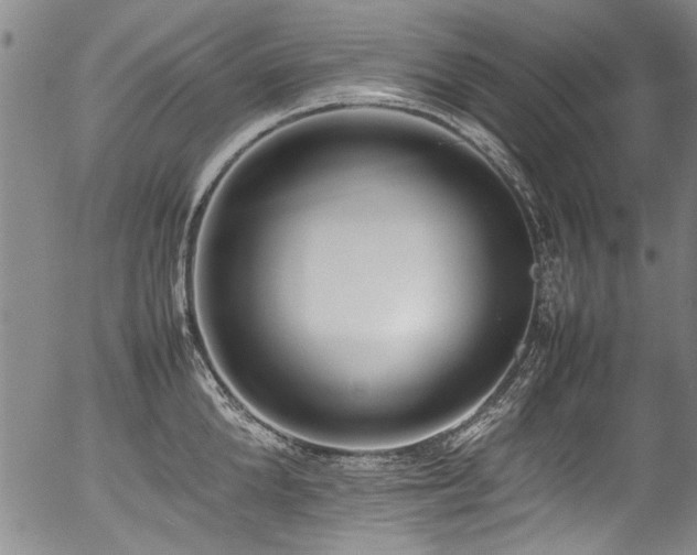 X0000054430904200507291245