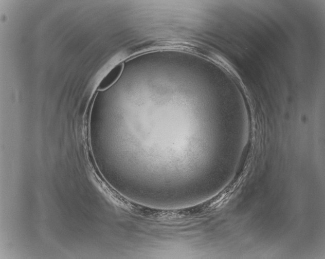X0000054430907200507291245
