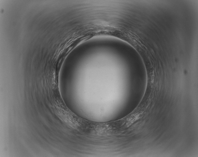 X0000054430916200507291244