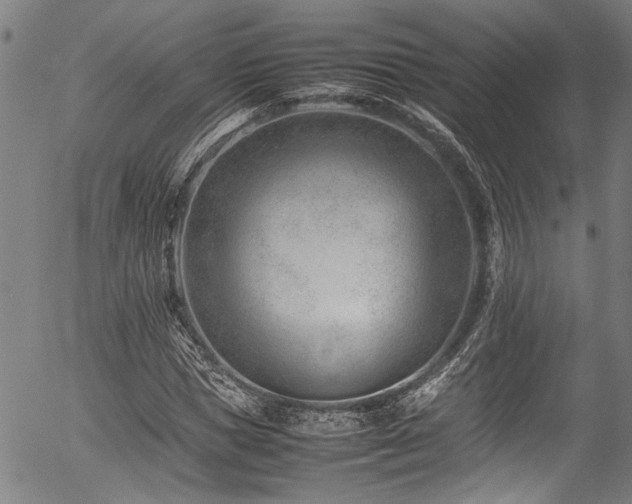 X0000054430921200507291245