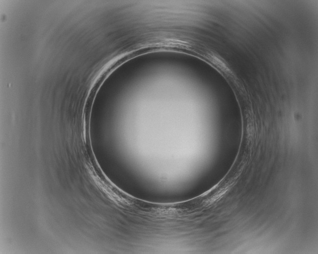 X0000054430940200507291245