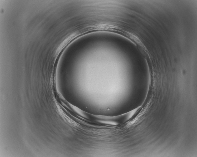X0000054430946200507291245