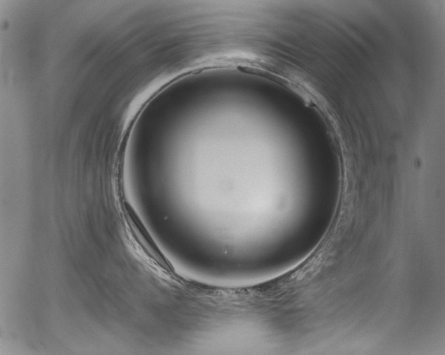 X0000054430960200507291245