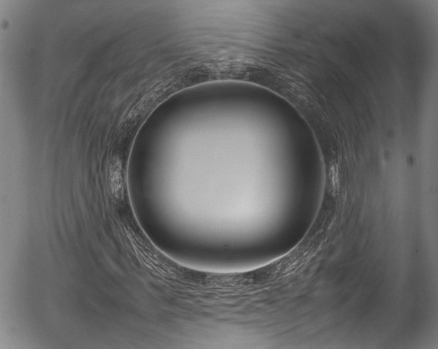 X0000054430963200507291244