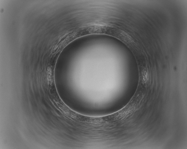 X0000054430964200507291244