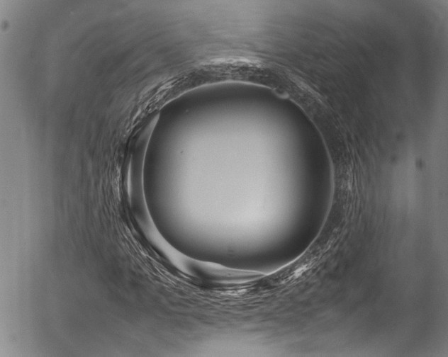 X0000054430965200507291244