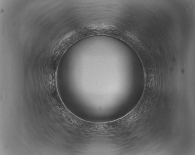 X0000054430966200507291244