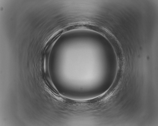 X0000054430969200507291244