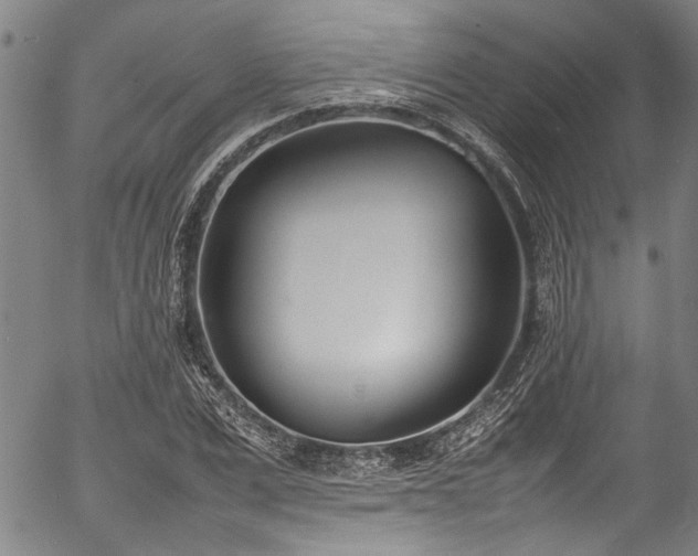 X0000054430975200507291244