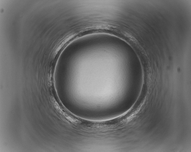 X0000054430977200507291244