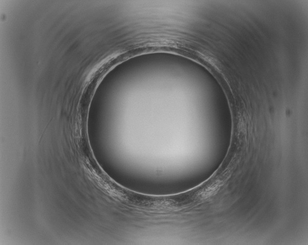 X0000054430979200507291244