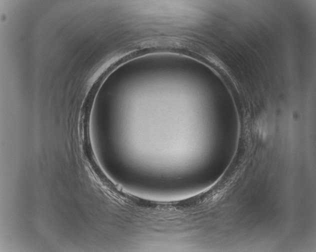 X0000054430983200507291244