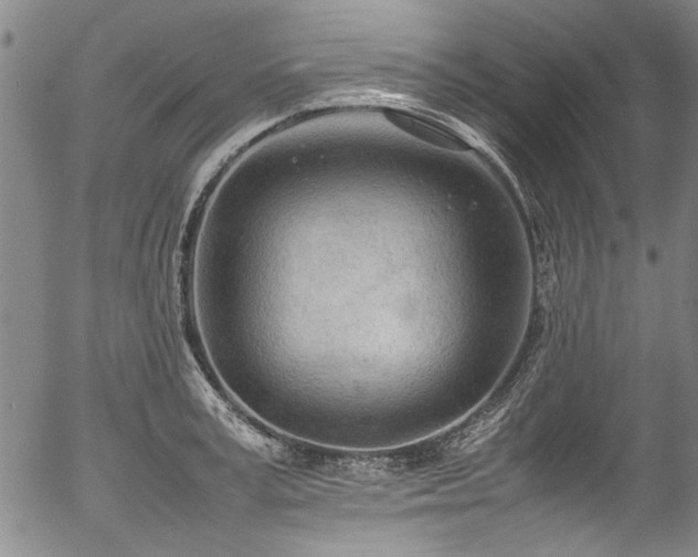 X0000054430995200507291244