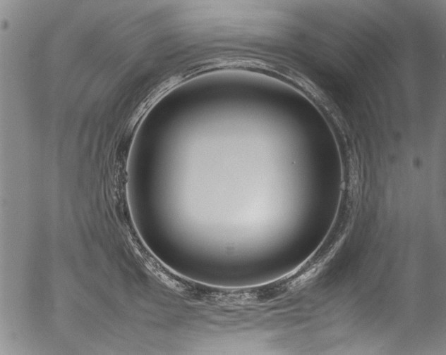 X0000054431001200507291244