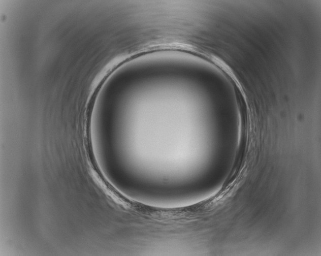 X0000054431005200507291244