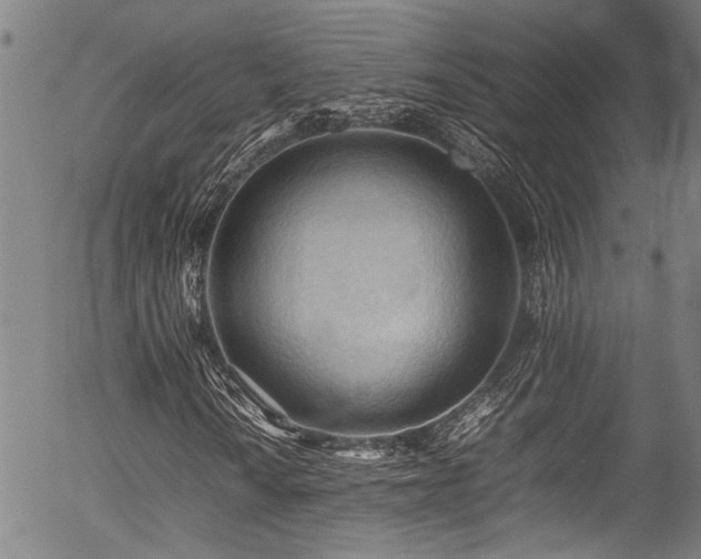 X0000054431010200507291243