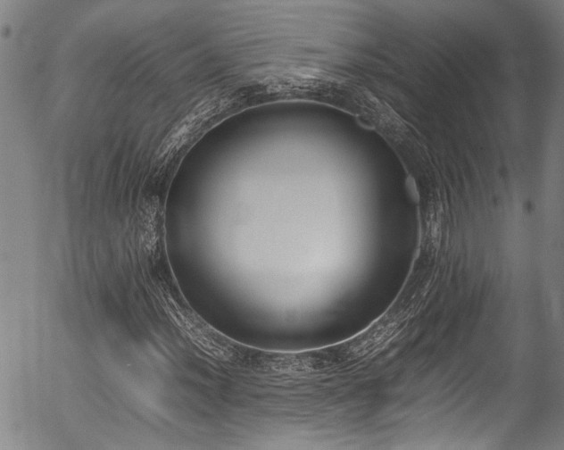 X0000054431012200507291243
