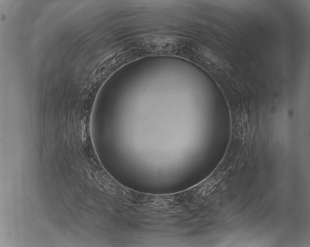 X0000054431013200507291243