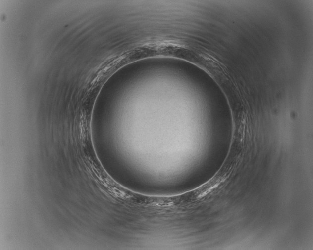 X0000054431014200507291243