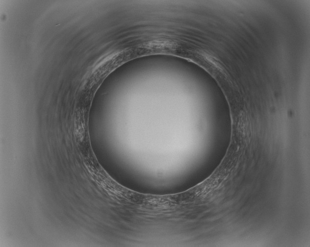X0000054431015200507291243