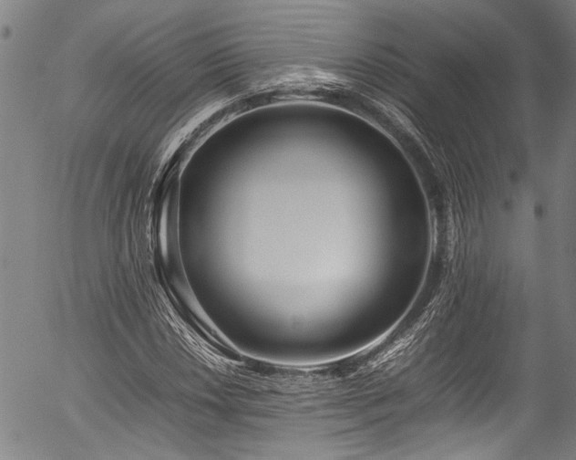 X0000054431018200507291243