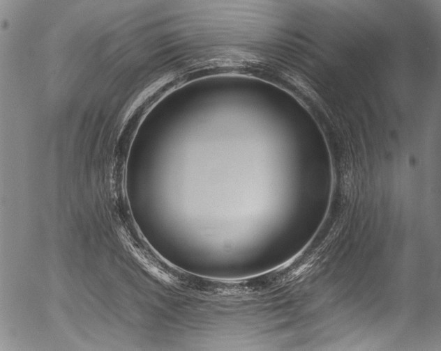 X0000054431026200507291243