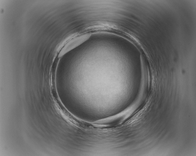 X0000054431034200507291243