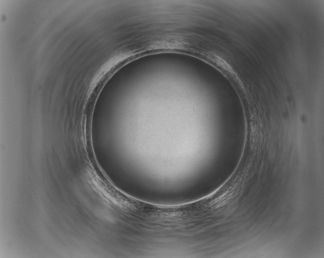 X0000054431035200507291243