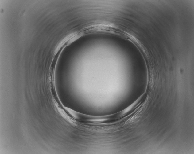 X0000054431042200507291243