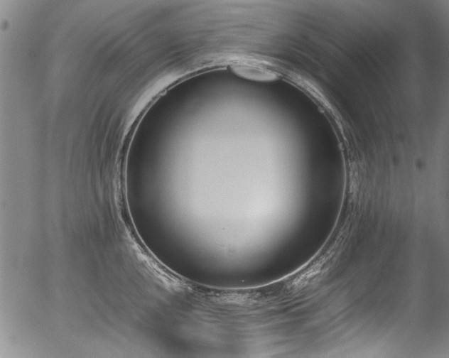 X0000054431048200507291244